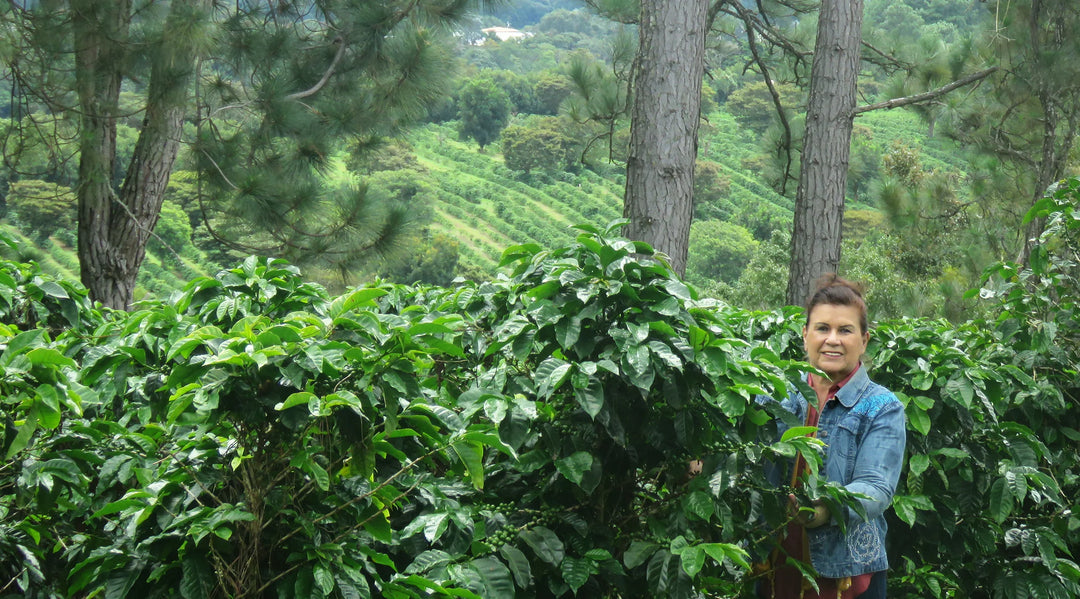 Meet our Farmers – Finca Cafelandia